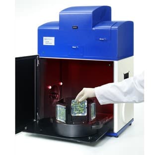 NightSHADE LB 985 avatar