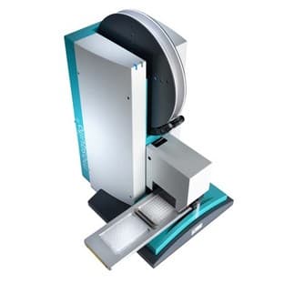 mosquito Crystal avatar