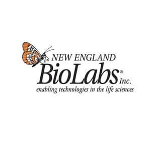 NEB Turbo Competent E. coli avatar
