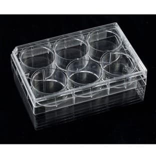 Tissue Culture Treated Microplates avatar
