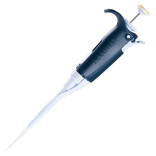 PIPETMAN P10L avatar