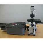 New Microscope Interface Enables High-Quality Imaging and Spectroscopy with a Single System