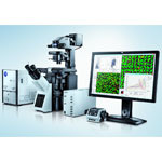 Evolving high content screening with the IX83 inverted microscope frame