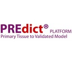 Precos_predict_platform