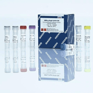 REPLI-g Single Cell Kit (24)
