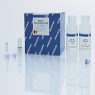 QIAquick PCR Purification Kit (250)