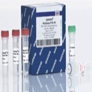 QIAGEN Multiplex PCR Kit (1000)