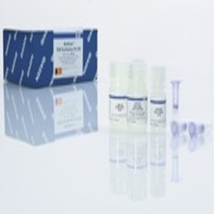 MinElute PCR Purification Kit (250)