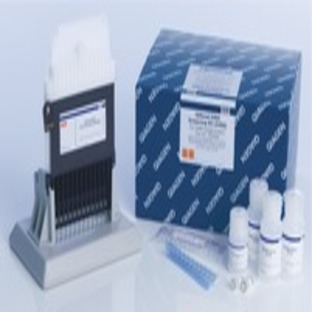 QIAxcel DNA Screening Kit (2400)