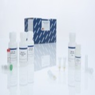QIAamp RNA Blood Mini Kit (50)