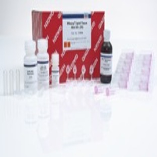 RNeasy Lipid Tissue Mini Kit (50)