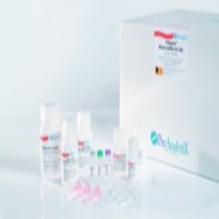 PAXgene Blood miRNA Kit (50)