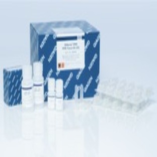 QIAamp DNA FFPE Tissue Kit (50)