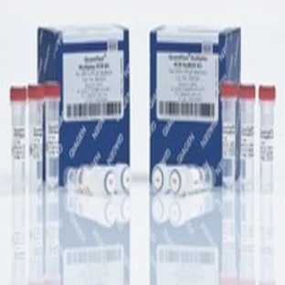 		QuantiTect Multiplex PCR NoROX Kit (1000)