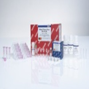 RNeasy Fibrous Tissue Mini Kit (50)
