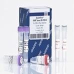 QuantiTect SYBR Green RT-PCR Kit (200)