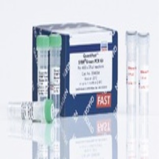 QuantiFast SYBR Green PCR Kit (4000)
