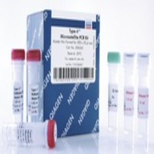 Type-it Microsatellite PCR Kit (2000) 