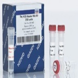 		Taq PCR Master Mix Kit (1000 U)