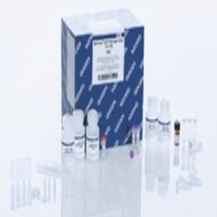 QIAamp UCP Pathogen Mini Kit