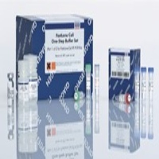 FastLane Cell Probe Kit (200)