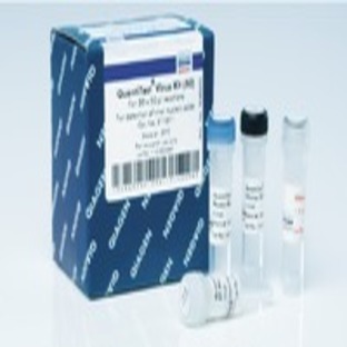 QuantiTect Virus +ROX Vial Kit (1000)