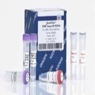 QuantiTect SYBR Green RT-PCR Kit (1000)