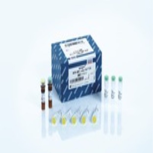 ipsogen BCR-ABL1 mbcr Kit (24)