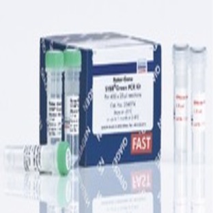 Rotor-Gene SYBR Green PCR Kit (2000)