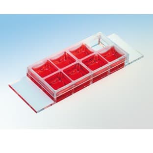 Вµ-Slide 8 well avatar