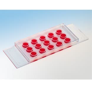 Вµ-Slide Angiogenesis avatar