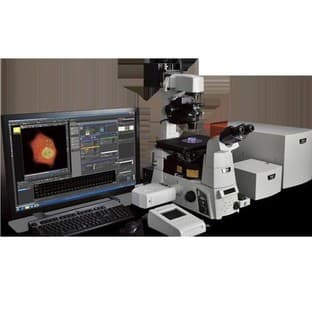 C2 plus confocal microscope avatar