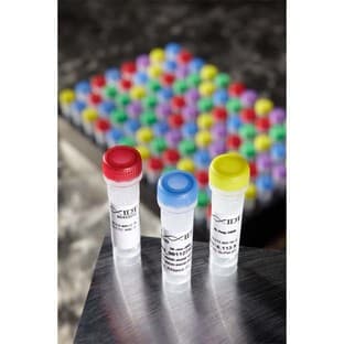 gBlocks Gene Fragments avatar